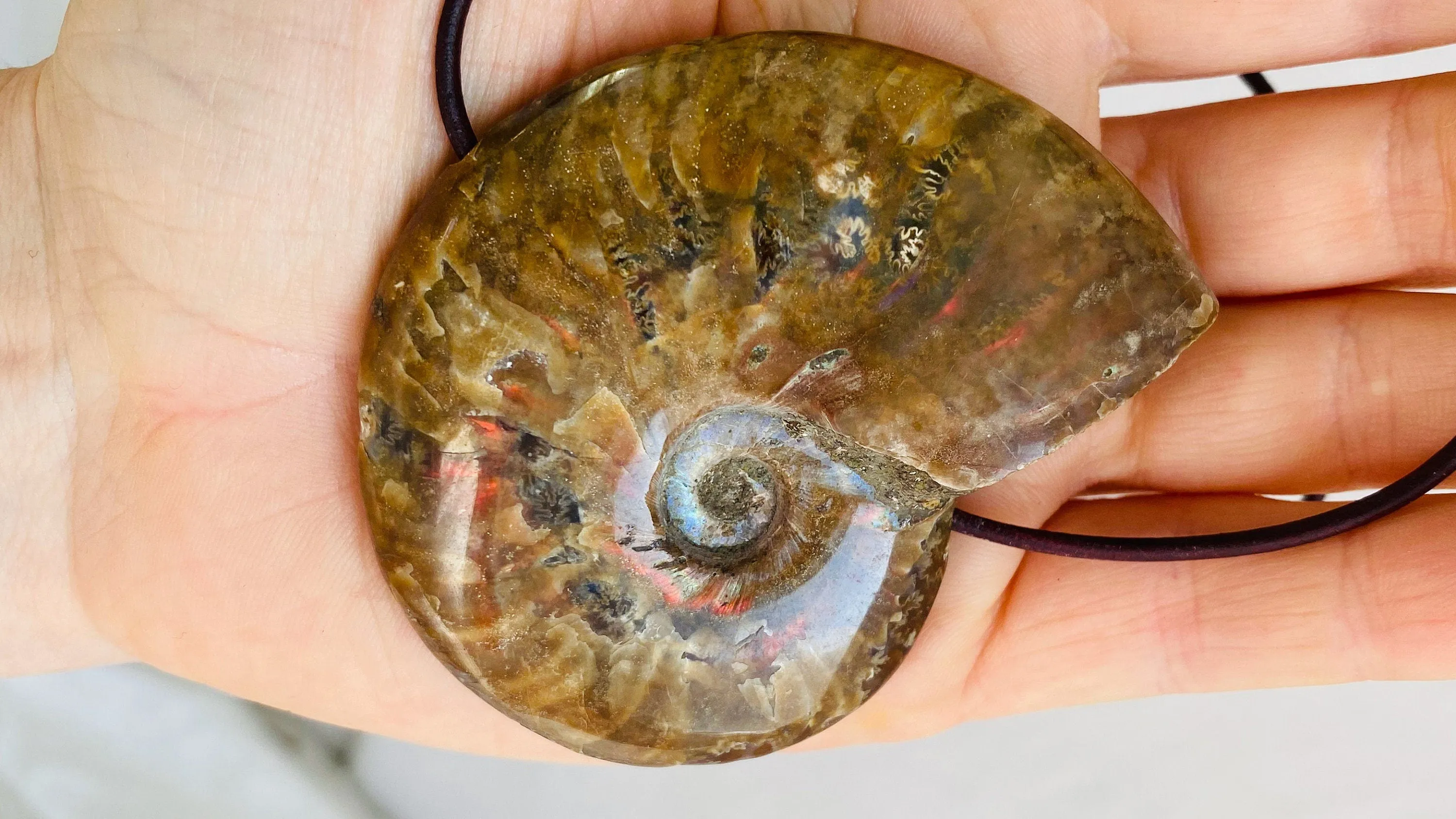 Ammonite Necklace. Sterling Silver. Medicine Necklace.