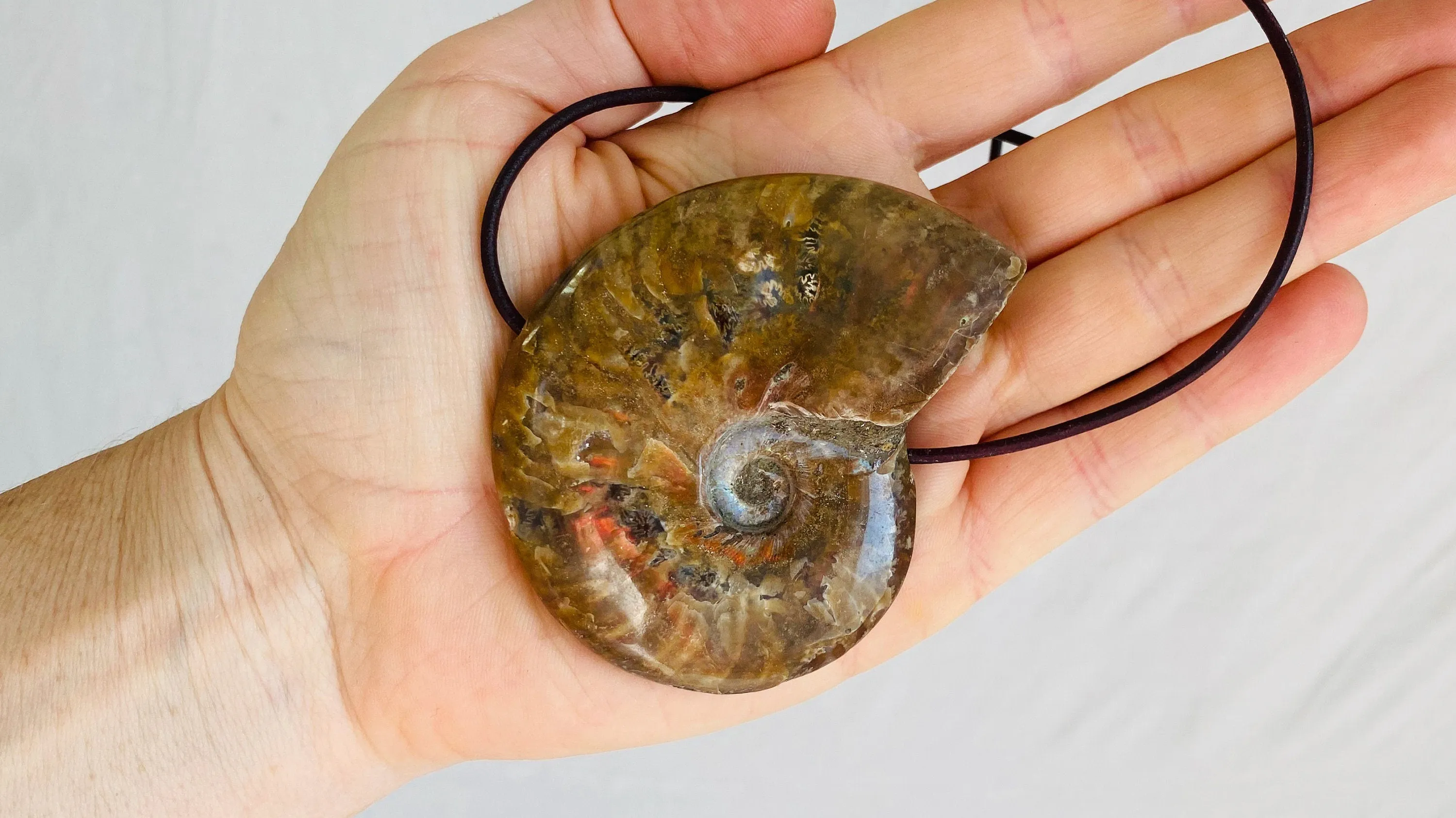 Ammonite Necklace. Sterling Silver. Medicine Necklace.