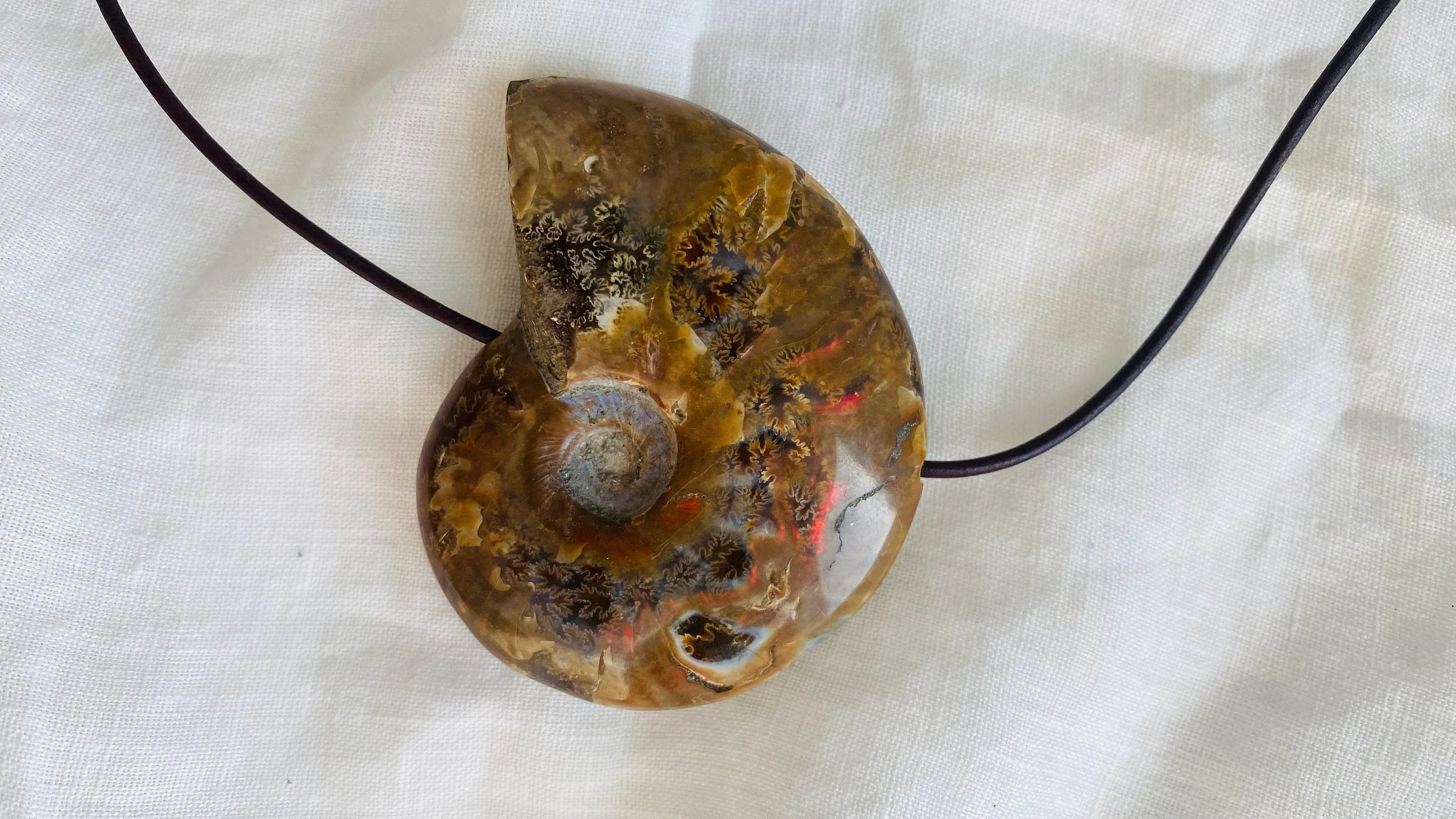 Ammonite Necklace. Sterling Silver. Medicine Necklace.
