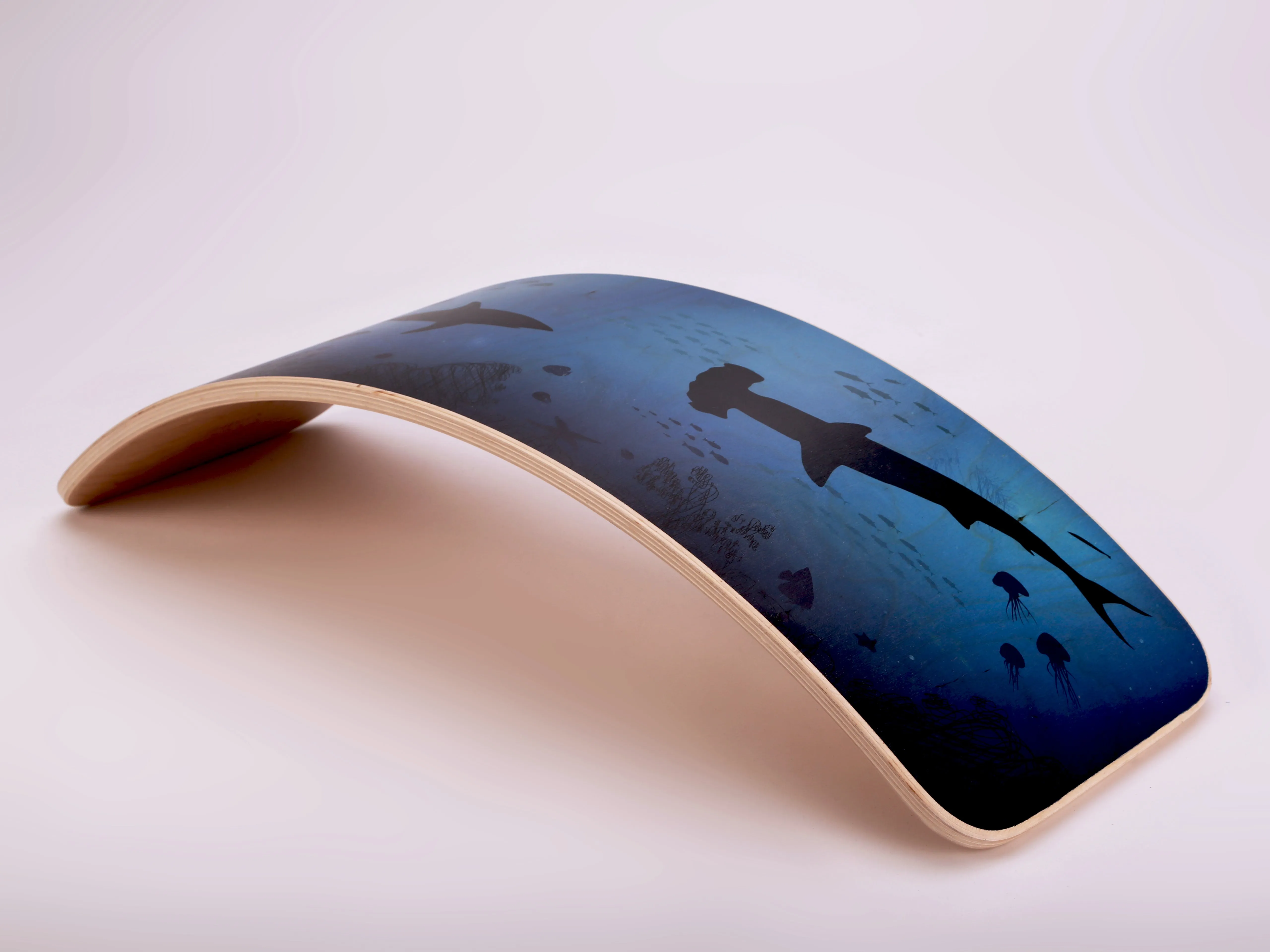 Balance Board