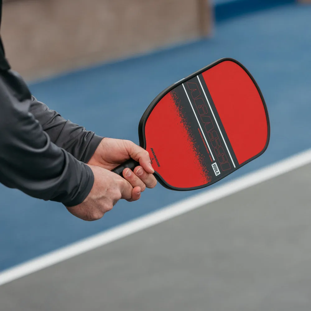 JOOLA Champion Agassi/Graf Pickleball Set